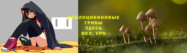 ALPHA-PVP Аркадак