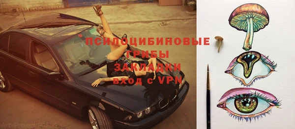 индика Алзамай