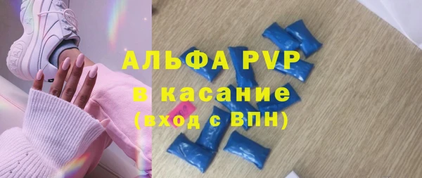 индика Алзамай