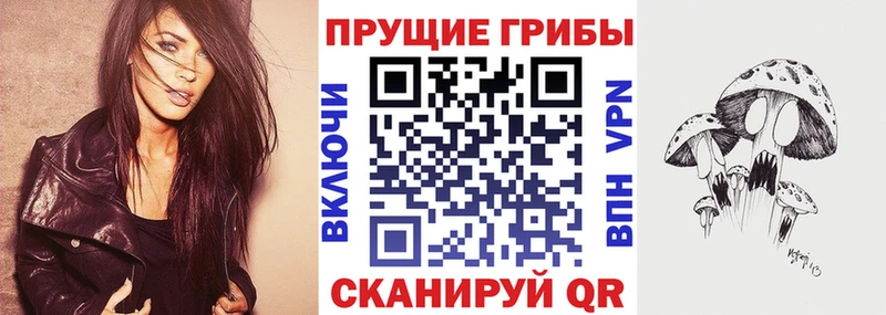 Псилоцибиновые грибы Psilocybine cubensis  Усинск 